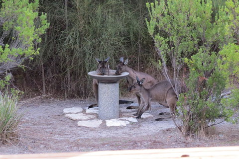 Kestrel Downs - Darwin Holiday 23