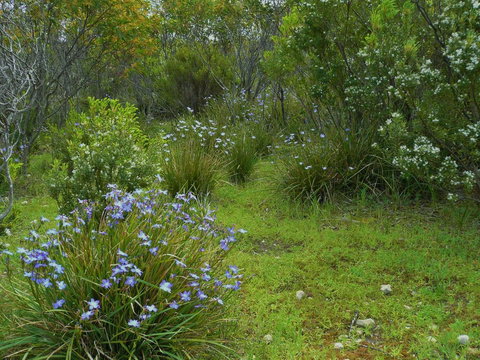 Kestrel Downs - Darwin Holiday 32