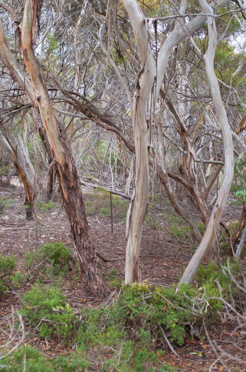 Kestrel Downs - Darwin Holiday 19