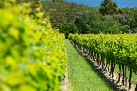 The Other House - Darwin Holiday 2