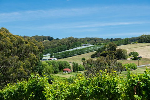 The Other House - Darwin Holiday 3