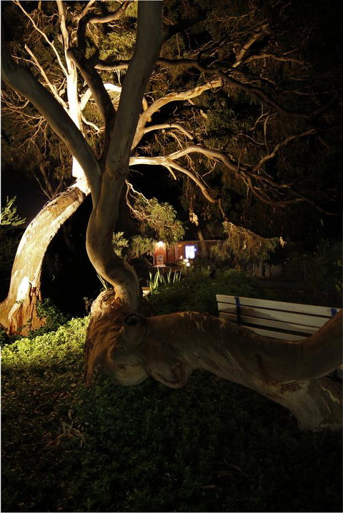 Cape Jervis Holiday Units - Darwin Holiday 14