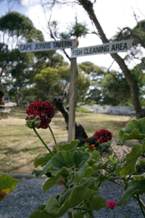 Cape Jervis Holiday Units - Darwin Holiday 13