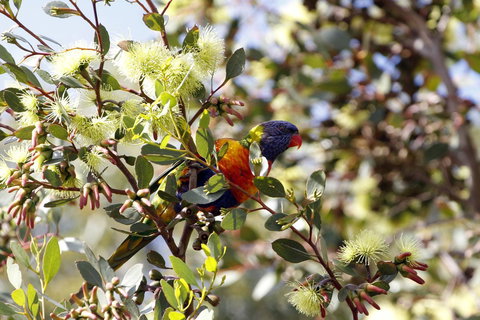 Cape Jervis Holiday Units - Darwin Holiday 11
