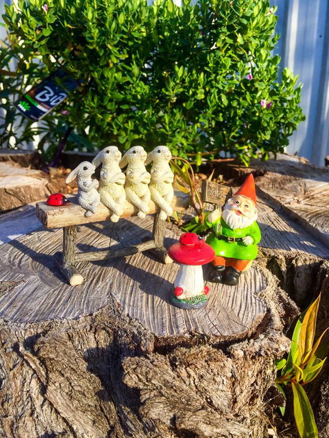 Inglenook Cottage - Darwin Holiday 34