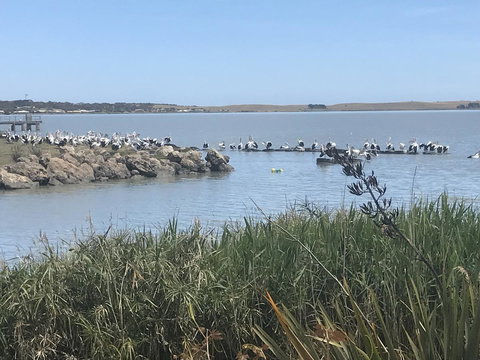 Hydeaway Bay - Own Private Bay + Kayaks - Darwin Holiday 34