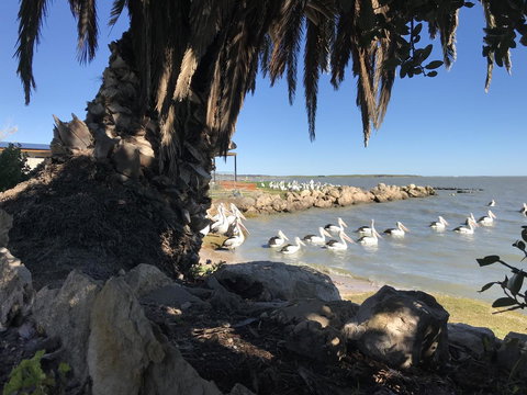 Hydeaway Bay - Own Private Bay + Kayaks - Darwin Holiday 17