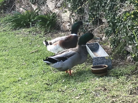 Hydeaway Bay - Own Private Bay + Kayaks - Darwin Holiday 19