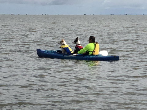 Hydeaway Bay - Own Private Bay + Kayaks - Darwin Holiday 31