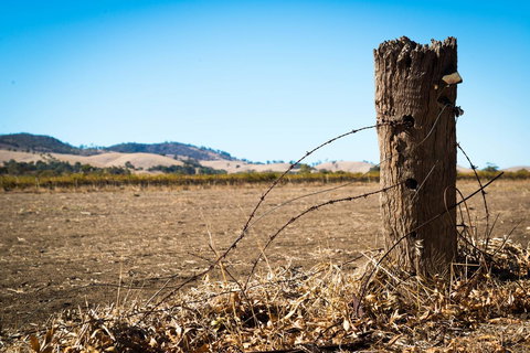Barossa Vineyard Cottages - Darwin Holiday 5
