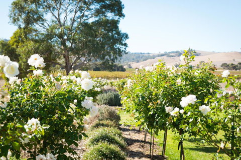 Barossa Vineyard Cottages - Darwin Holiday 1