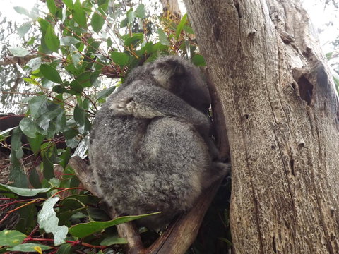 Home On Torrens - Darwin Holiday 32