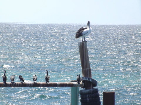 Home On Torrens - Darwin Holiday 10