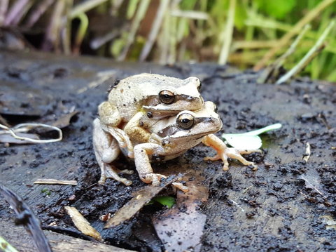 Coorong Waterfront Retreat - Darwin Holiday 30