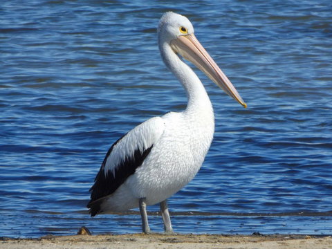 Coorong Waterfront Retreat - Darwin Holiday 29