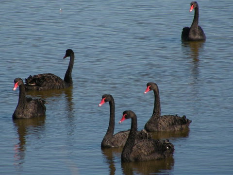 Coorong Waterfront Retreat - Darwin Holiday 26