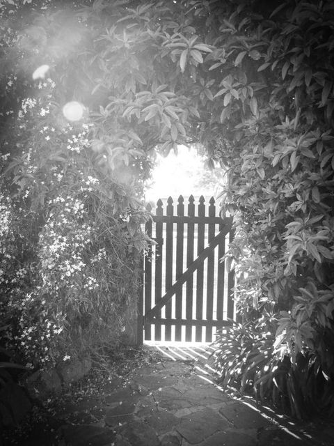 Haven Cottage Kangaroo Island - Darwin Holiday 33
