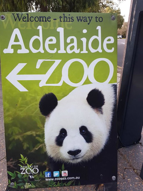 Adelaide Style Accommodation-Close To City-North Adelaide-3 Bdrm- FREE Parking - Darwin Holiday 35