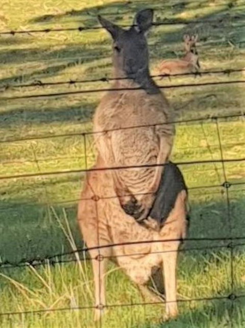 Adelaide Style Accommodation-Close To City-North Adelaide-3 Bdrm- FREE Parking - Darwin Holiday 25