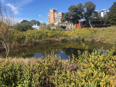 Adelaide Style Accommodation-Close To City-North Adelaide-3 Bdrm- FREE Parking - Darwin Holiday 40