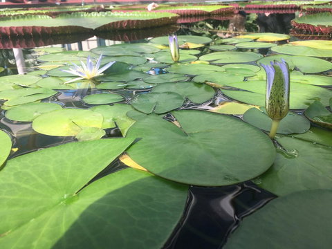 Adelaide Style Accommodation-Close To City-North Adelaide-3 Bdrm- FREE Parking - Darwin Holiday 41