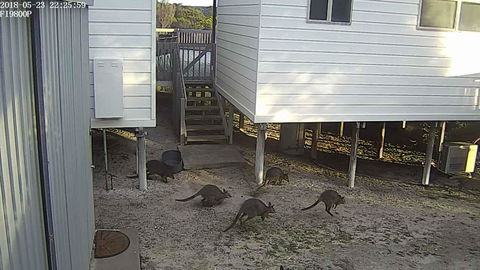 White Sands Holiday Retreat - Darwin Holiday 13