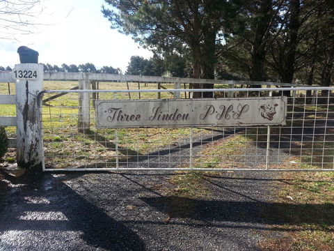 Three Linden - Darwin Holiday 6