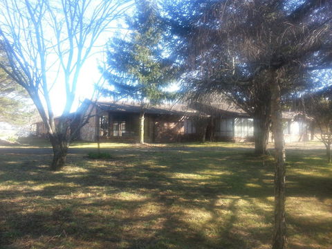 Three Linden - Darwin Holiday 5