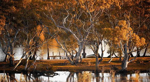 Riverview Rise Retreats - Darwin Holiday 4