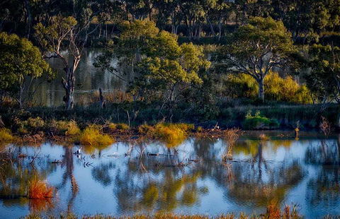 Riverview Rise Retreats - Darwin Holiday 7