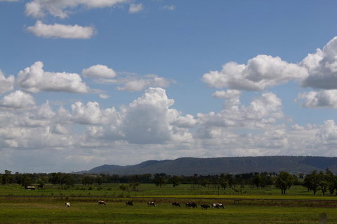 Isis Motel Scone - Darwin Holiday 5