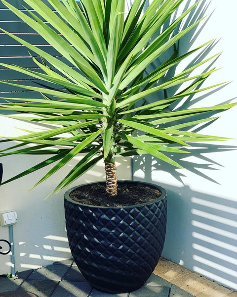 Seaview Sunset Holiday Apartments - Darwin Holiday 4