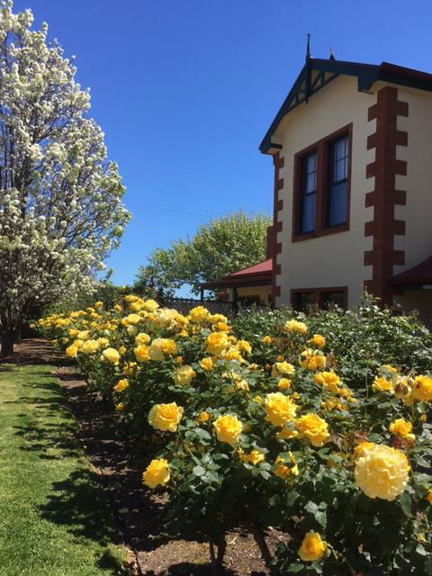 Wine And Roses Bed And Breakfast - Darwin Holiday 5