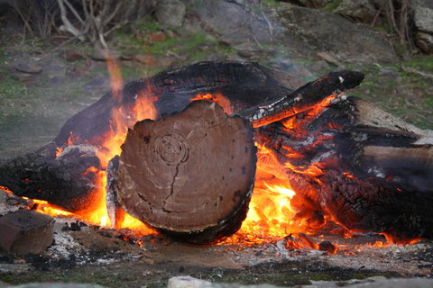 Rabbiters Hut - Darwin Holiday 15