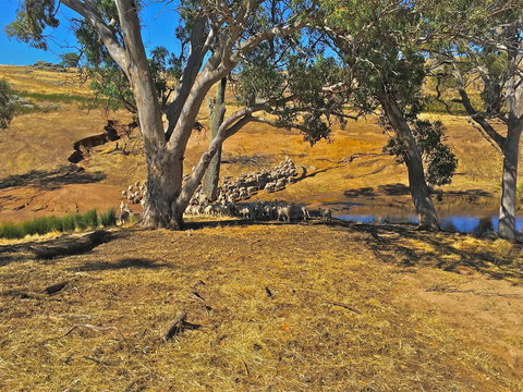Rabbiters Hut - Darwin Holiday 22