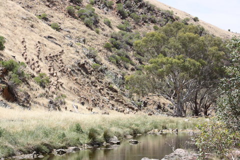 Rabbiters Hut - Darwin Holiday 29