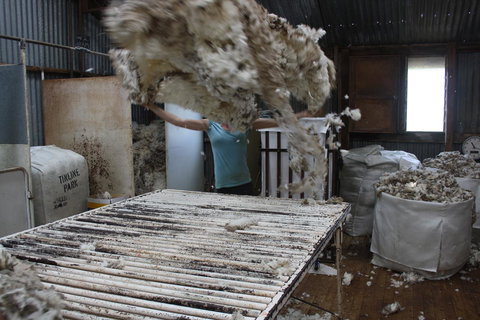 Rabbiters Hut - Darwin Holiday 19