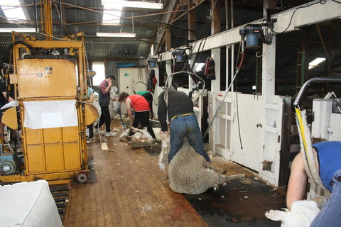 Rabbiters Hut - Darwin Holiday 18