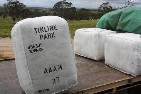 Rabbiters Hut - Darwin Holiday 21