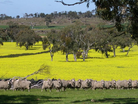 Rabbiters Hut - Darwin Holiday 16
