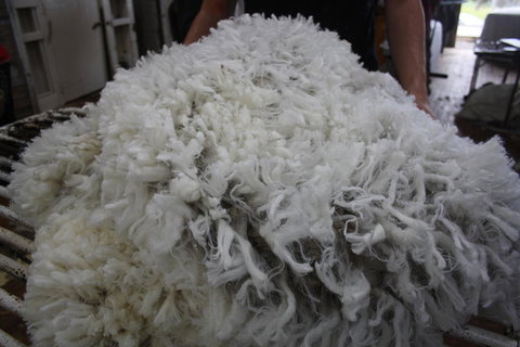 Rabbiters Hut - Darwin Holiday 20