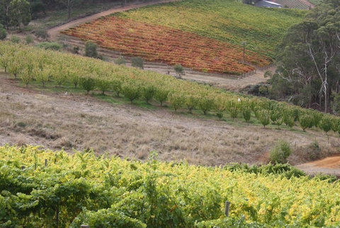 Rabbiters Hut - Darwin Holiday 25