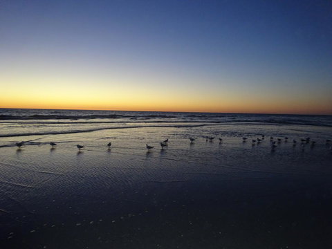 Selene Holiday Apartment @West Beach - Darwin Holiday 6