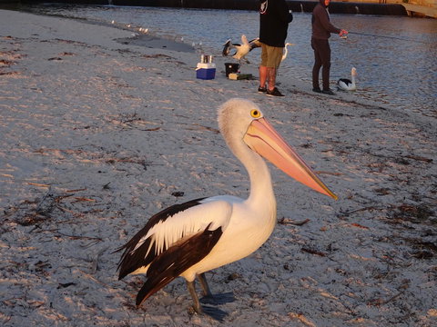 Selene Holiday Apartment @West Beach - Darwin Holiday 3