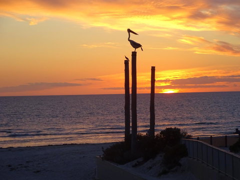 Selene Holiday Apartment @West Beach - Darwin Holiday 2