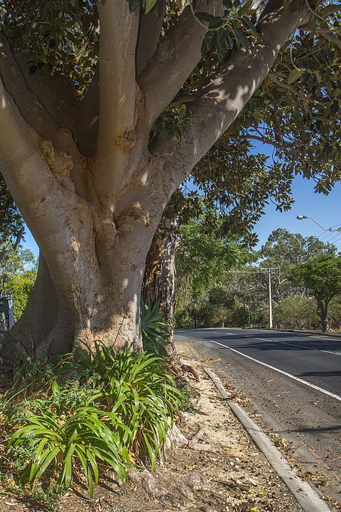 Stoneleigh Cottage Bed And Breakfast - Darwin Holiday 25