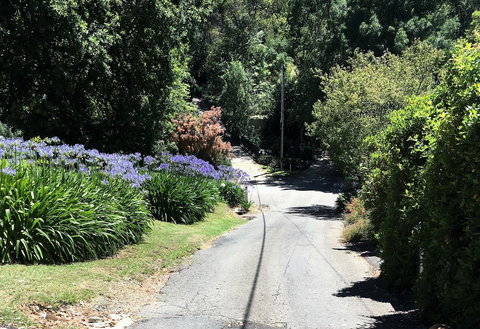 Hilltop - Darwin Holiday 2