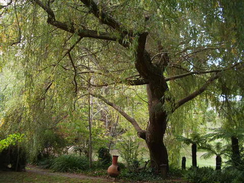 Hilltop - Darwin Holiday 14