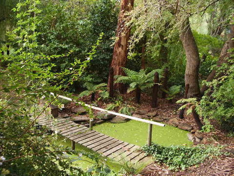 Hilltop - Darwin Holiday 10