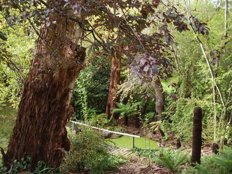 Hilltop - Darwin Holiday 13